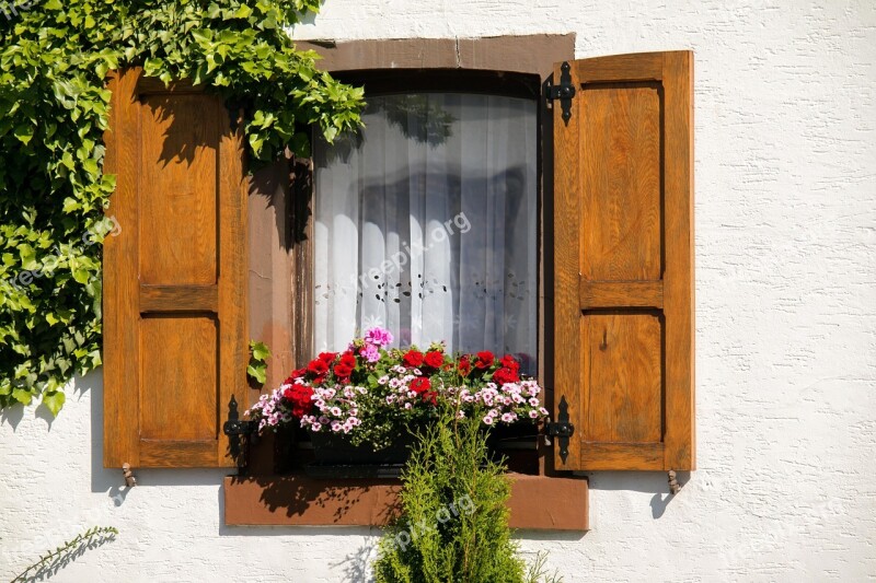 Window Shutter Flower Box House Shutters