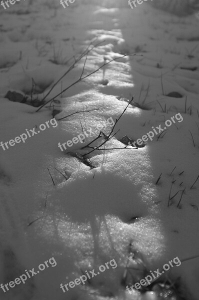 Snow Winter Black And White Shadow Thawed Patches