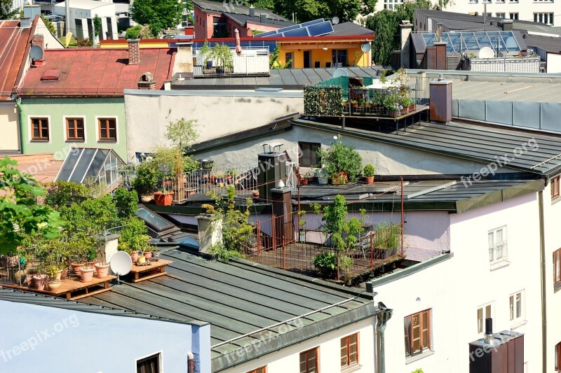 Roof Terrace Terrace Roof Garden Garden Housetop