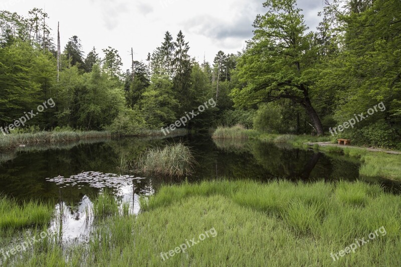 Moor Moorland Swamp Nature Conservation Wetland