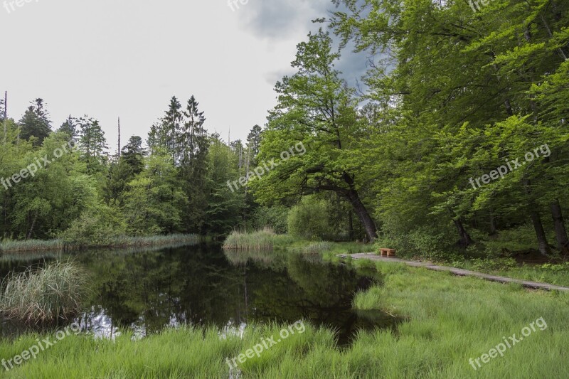 Moor Moorland Swamp Nature Conservation Wetland