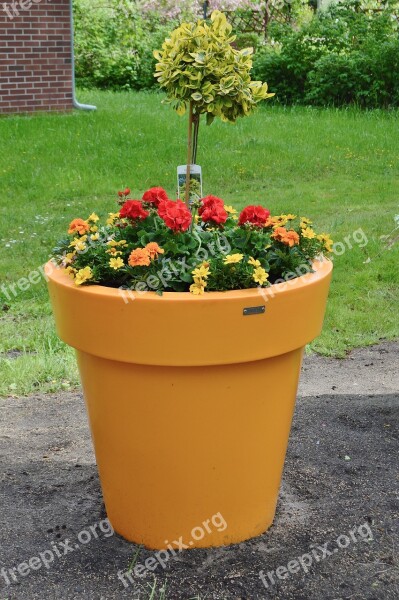 Flowerpot Spring Pentecost Deco Free Photos