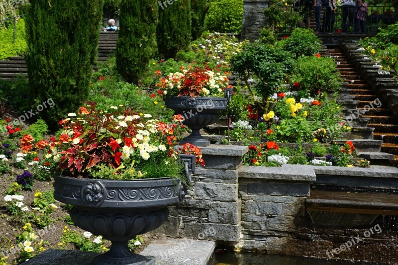 Garden Nature Flowers Spring Aroma