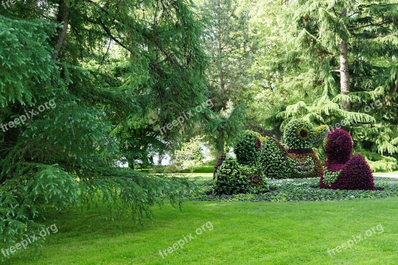 Flowers Duck Mainau Nature Beautiful