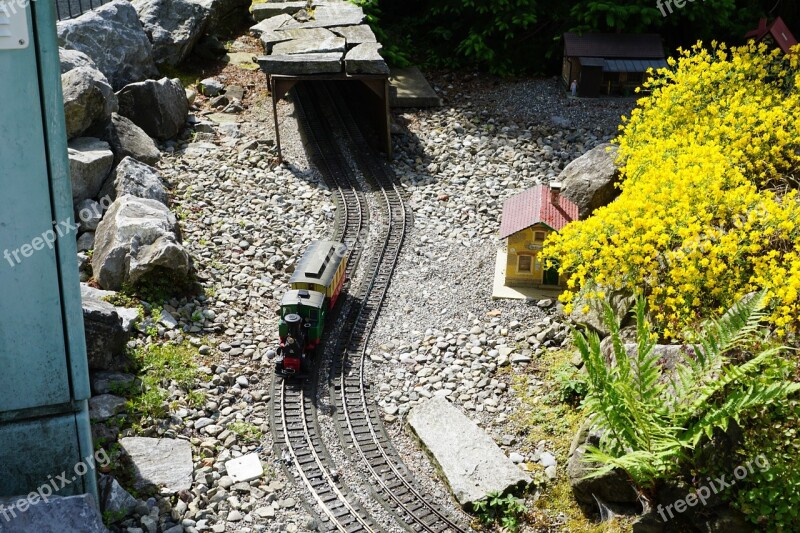 Miniature Railway Nature Train Transport