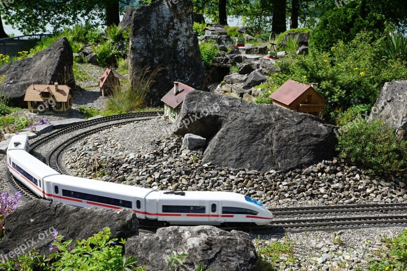 Miniature Railway Nature Train Transport