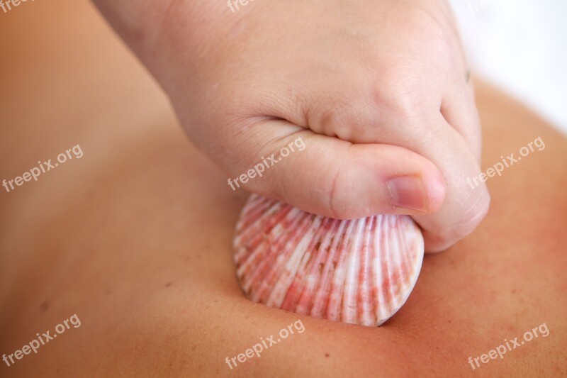 Shells Massage Relaxation Free Photos