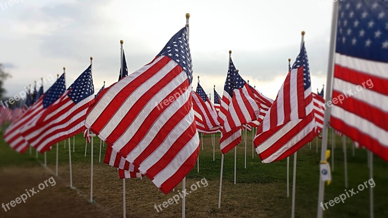 American Flag Usa Flag American Symbol Usa