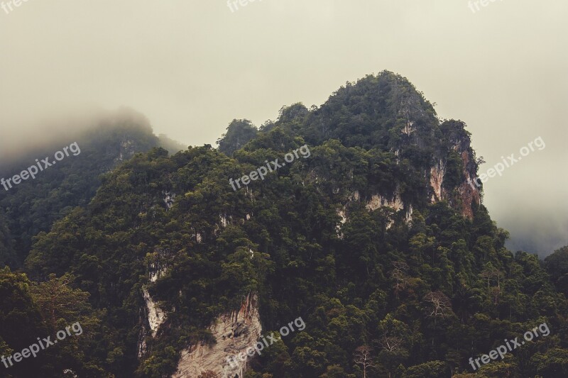 Mountain Forest Misty Foggy Trees