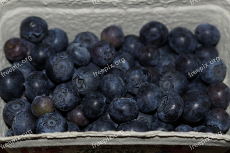 Blueberries Berries Shell Blue Fruits