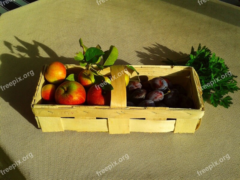 Fruit Basket Fruit Apple Plum Basket