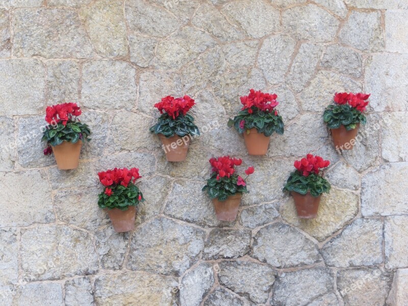 Wall Decoration Flower Pots Harmony Flowers