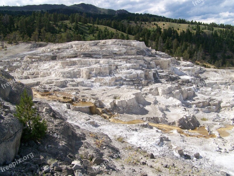 Terraces Mammoth Hot Springs Yellowstone Geological Free Photos