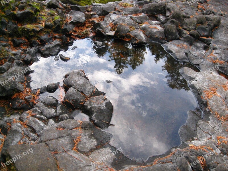 Reflection Puddle Tide Pool Beach Oregon