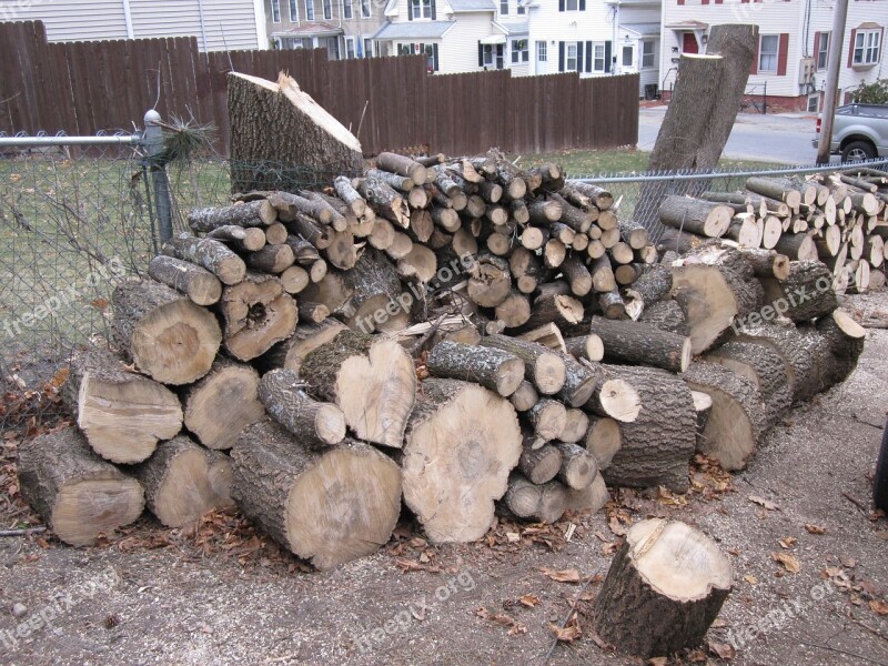 Wood Wood Pile Firewood Tree Free Photos