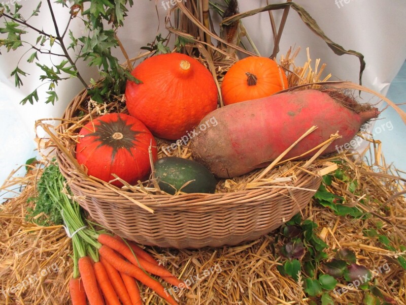 Thanksgiving Vegetables Fruits Autumn Decorative Squashes