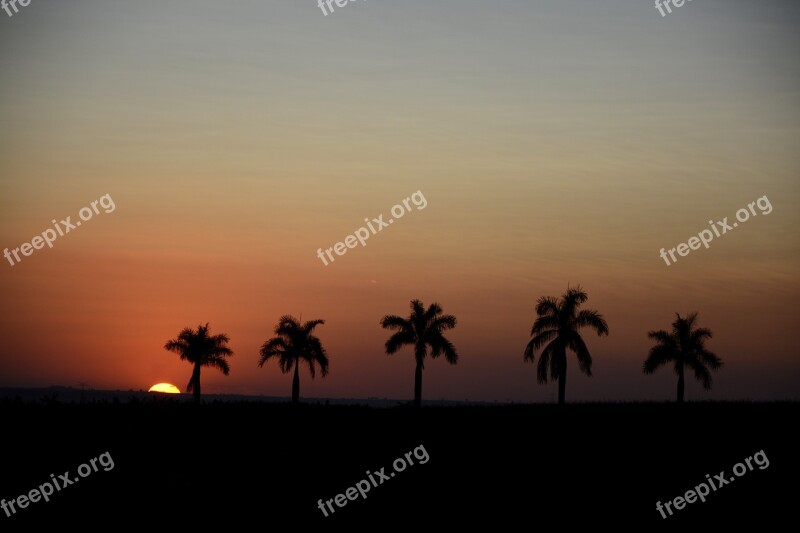 Sunset Silhouette Horizon Sol Landscape