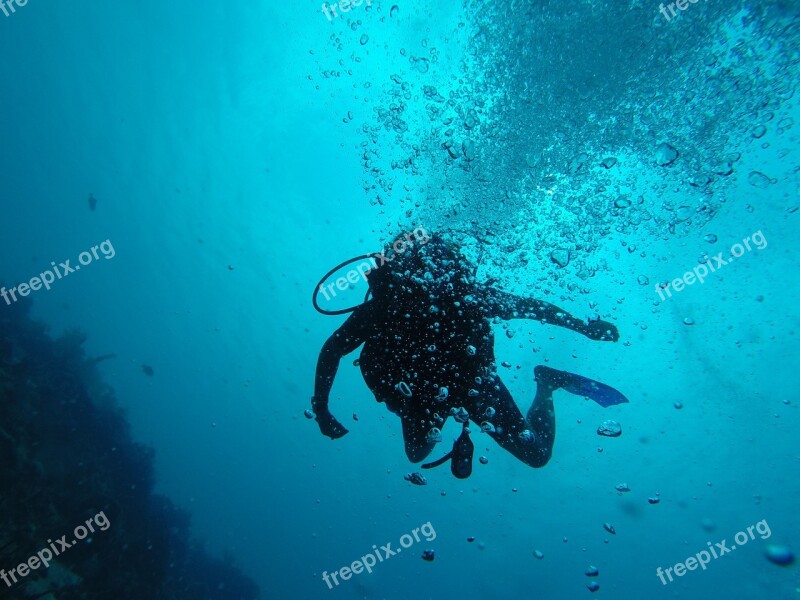 Scuba Bubbles Underwater Free Photos