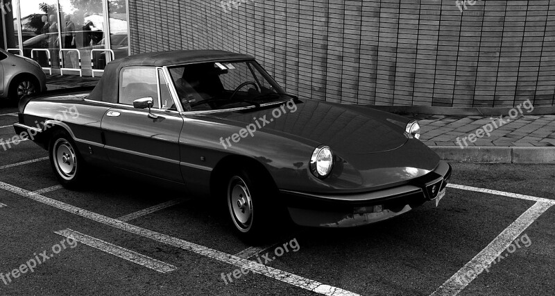 Vintage Car Alfa Romeo Cabrio Sport Convertible