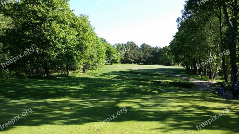 Golf Golf Course Green Grass Landscape