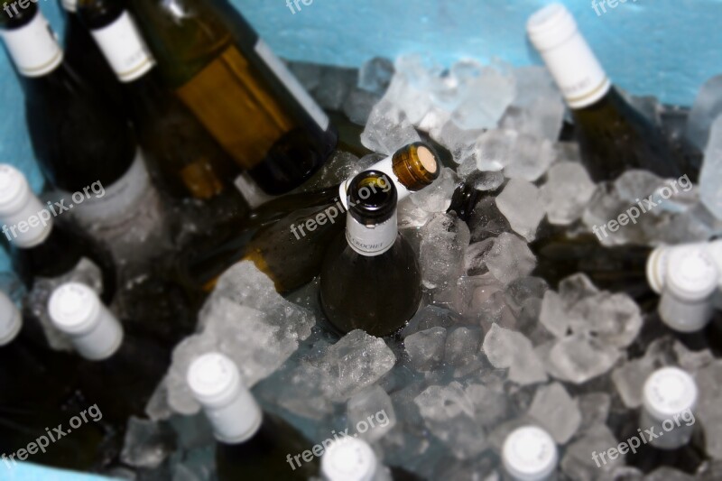 Wine Bottles Sects Ice Celebration