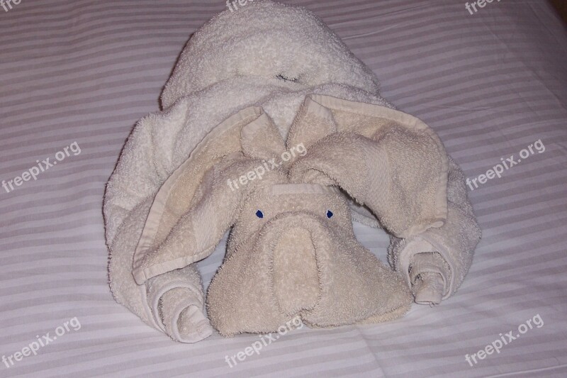 Towel Art Cruise Figure Free Photos