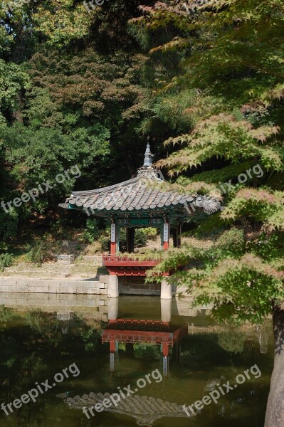 Changdeokgung Palace Garden Landscape South Korea