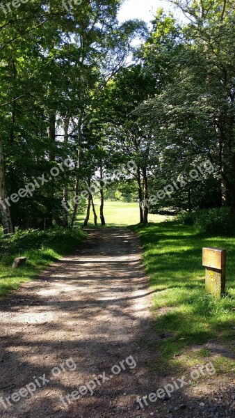 Golf Golf Course Green Grass Landscape