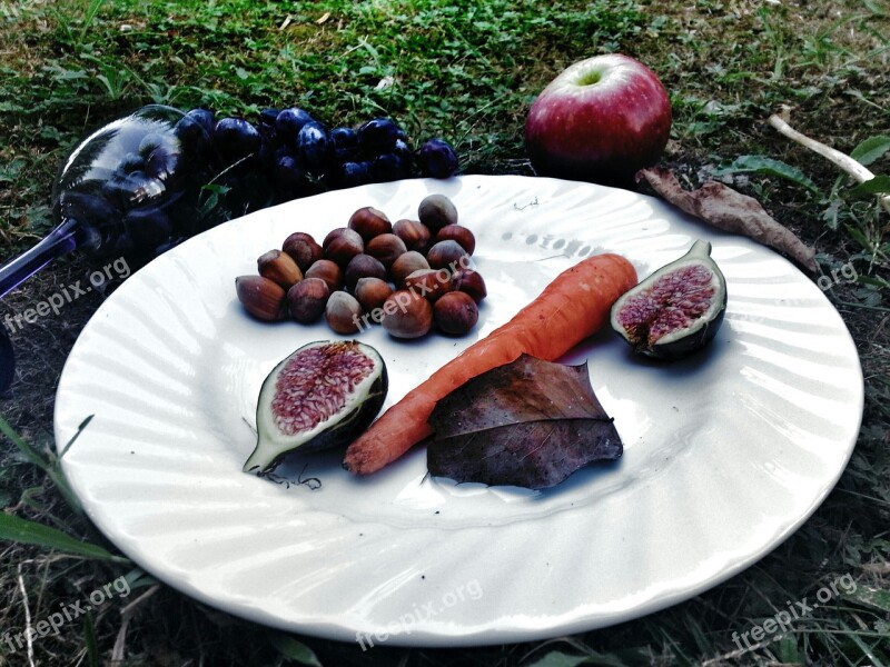 Food Dish Picnic Nuts Fruit