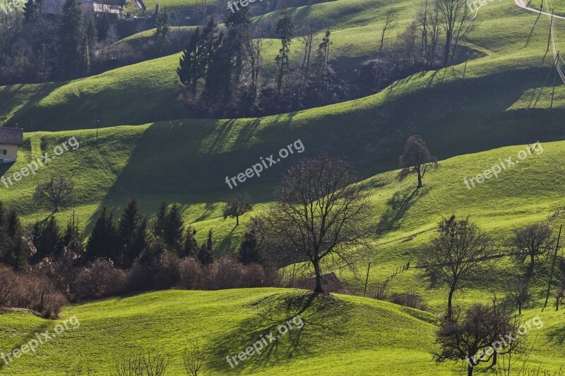 Abendstimmung Meadow Backlighting Green Mood