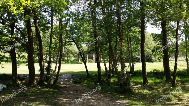 Golf Golf Course Green Grass Landscape