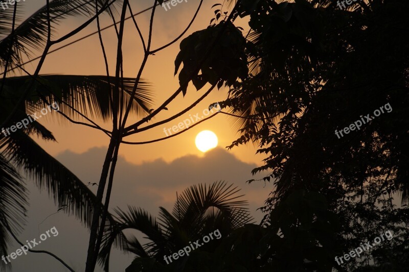 Sunset Sky South India Trees Free Photos