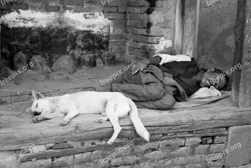 Nepal People Dogs Sleep Free Photos