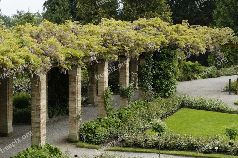 Bower Portico Wisteria Garden Schlossgarten