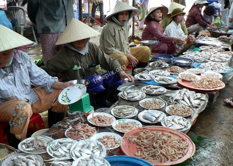 Viet Nam Market Fish Free Photos