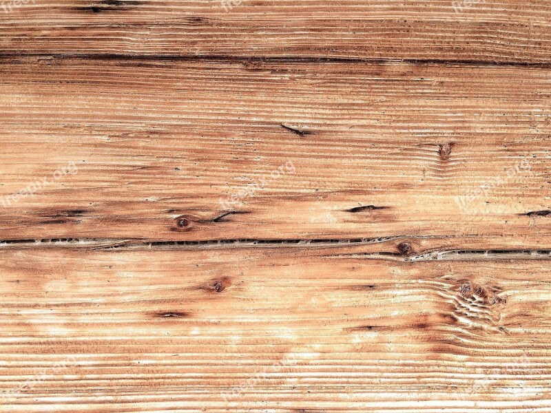 Wood Grain Structure Free Photos