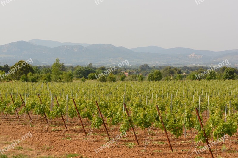 Vineyards Landscape View Nature Free Photos