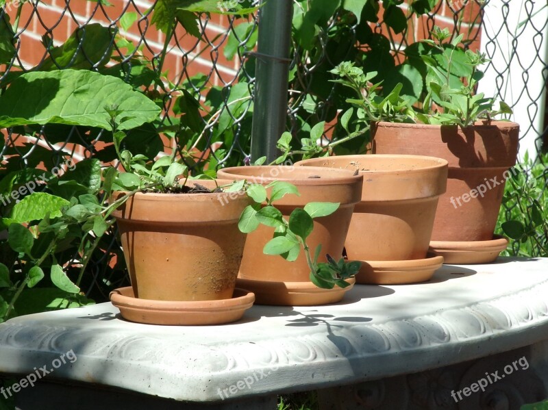 Clay Pots Pottery Ceramic Craft