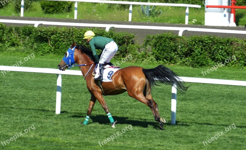 Horse Racing Gallop Sport Competition Istanbul