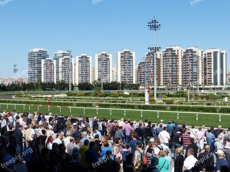 Horse Racing Gallop Sport Competition Istanbul