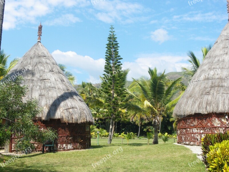 Box New Caledonia Coconut Straw Free Photos