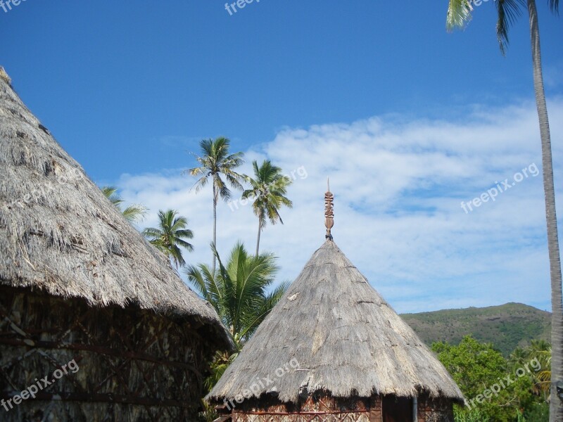 Box Coconut New Caledonia Straw Free Photos