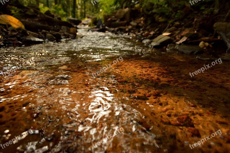 Flowing Water Clear And Transparent Stream Ricer Macro