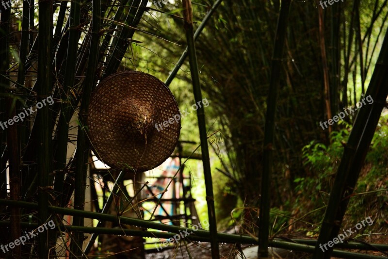 Bamboo Country The Scenery Hat Woods