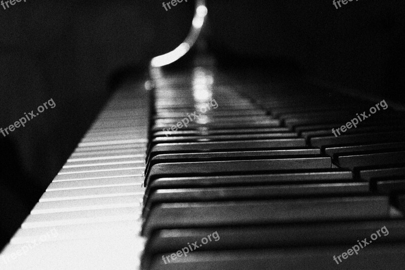 Plan Piano Keys Show Music