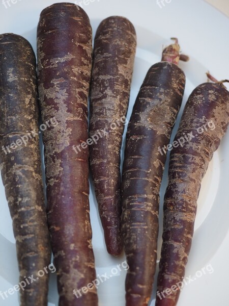 Carrots Red Carrots Purple Deep Purple Carrots Locations