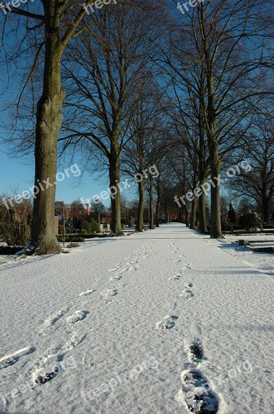 Snow Footstep Winter Cold Trace