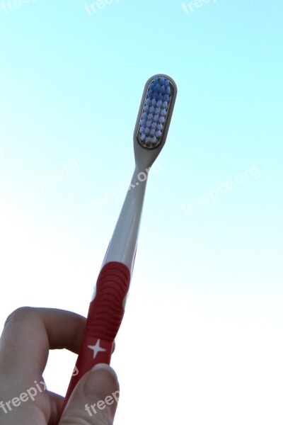 Toothbrush Hygiene Dental Brush Health