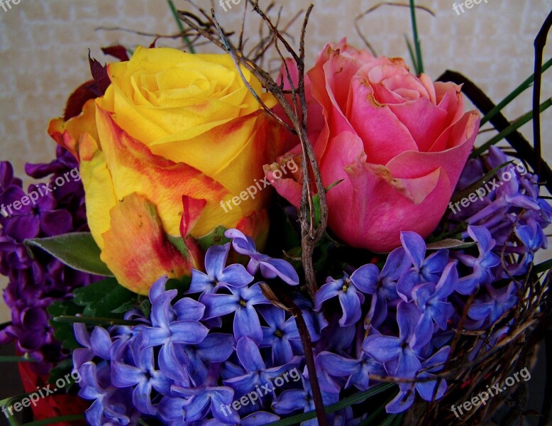 Colorful Bouquet Yellow And Pink Roses Blue Hyacinth Free Photos