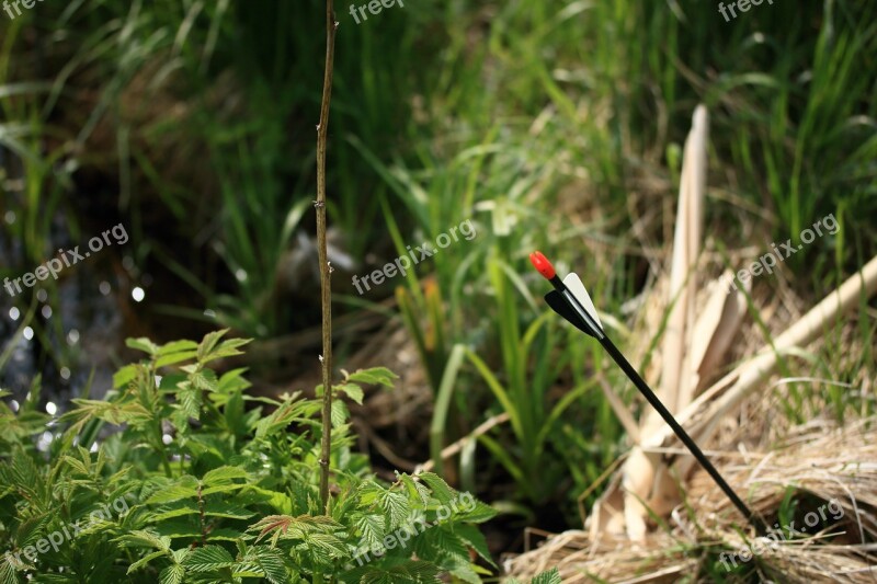 Arrow Brook Grass Green Summer